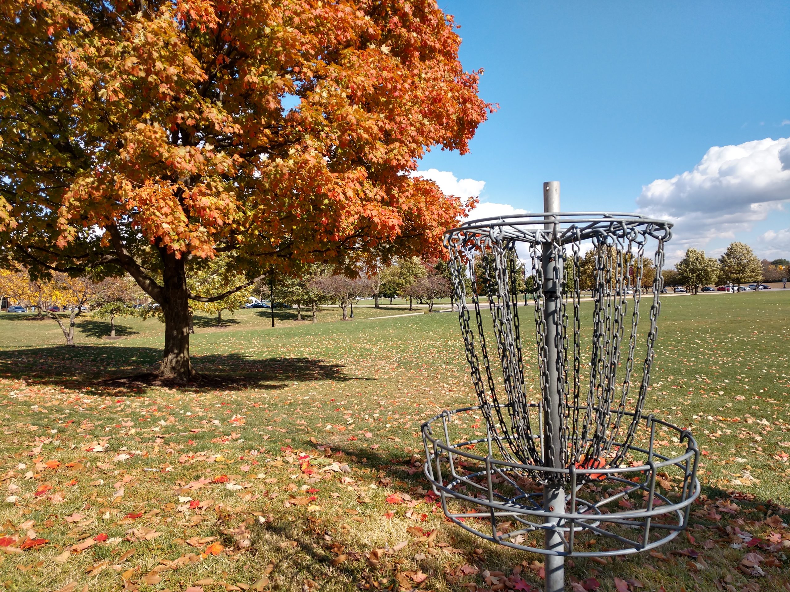 Close up of chains and tray on a disc golf basket
