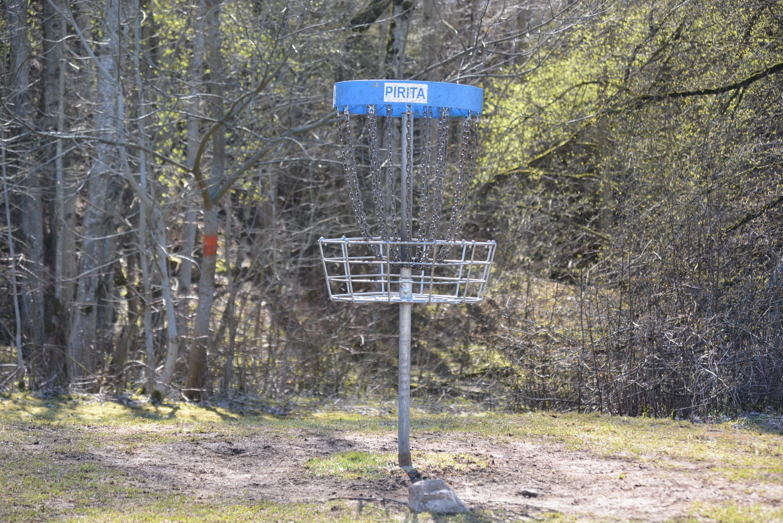 Welcome to DiscGolf.nz: news, tips and good vibes for Kiwi disc golf