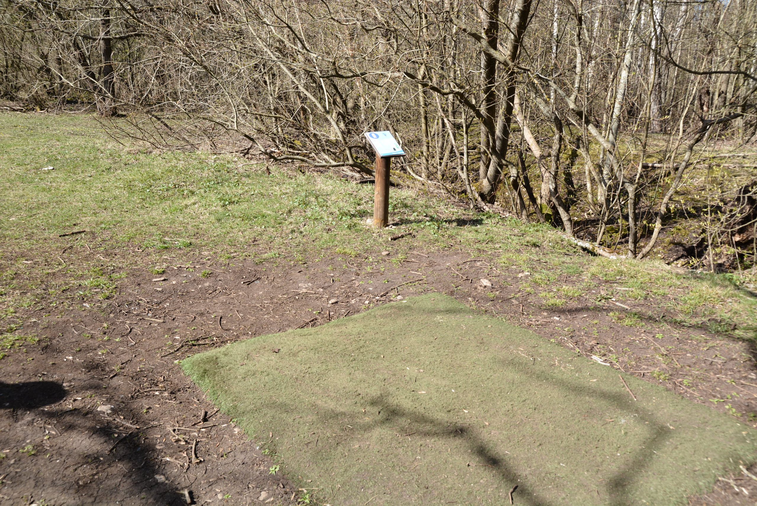 Disc golf tee area looking down a tree lined fairway