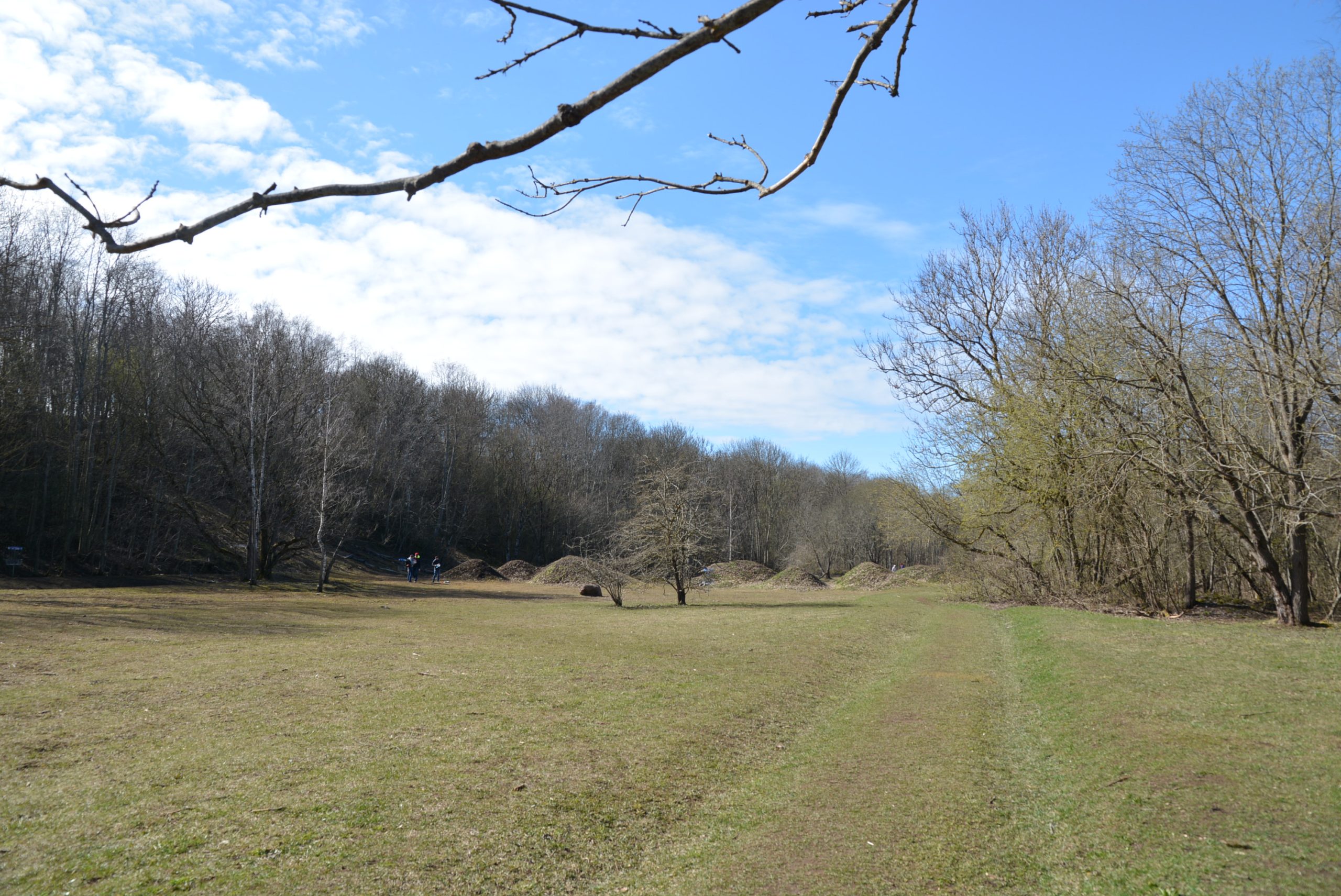 Six things that make a local disc golf course worth the drive